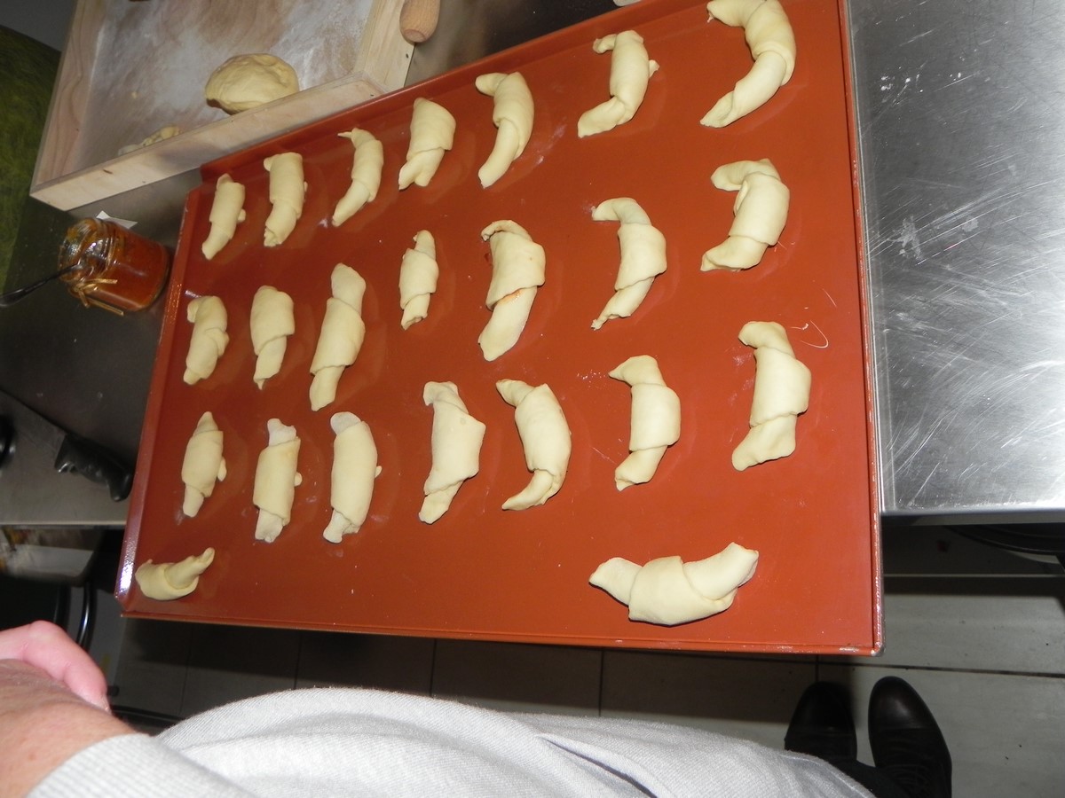 DSCN7113.JPG