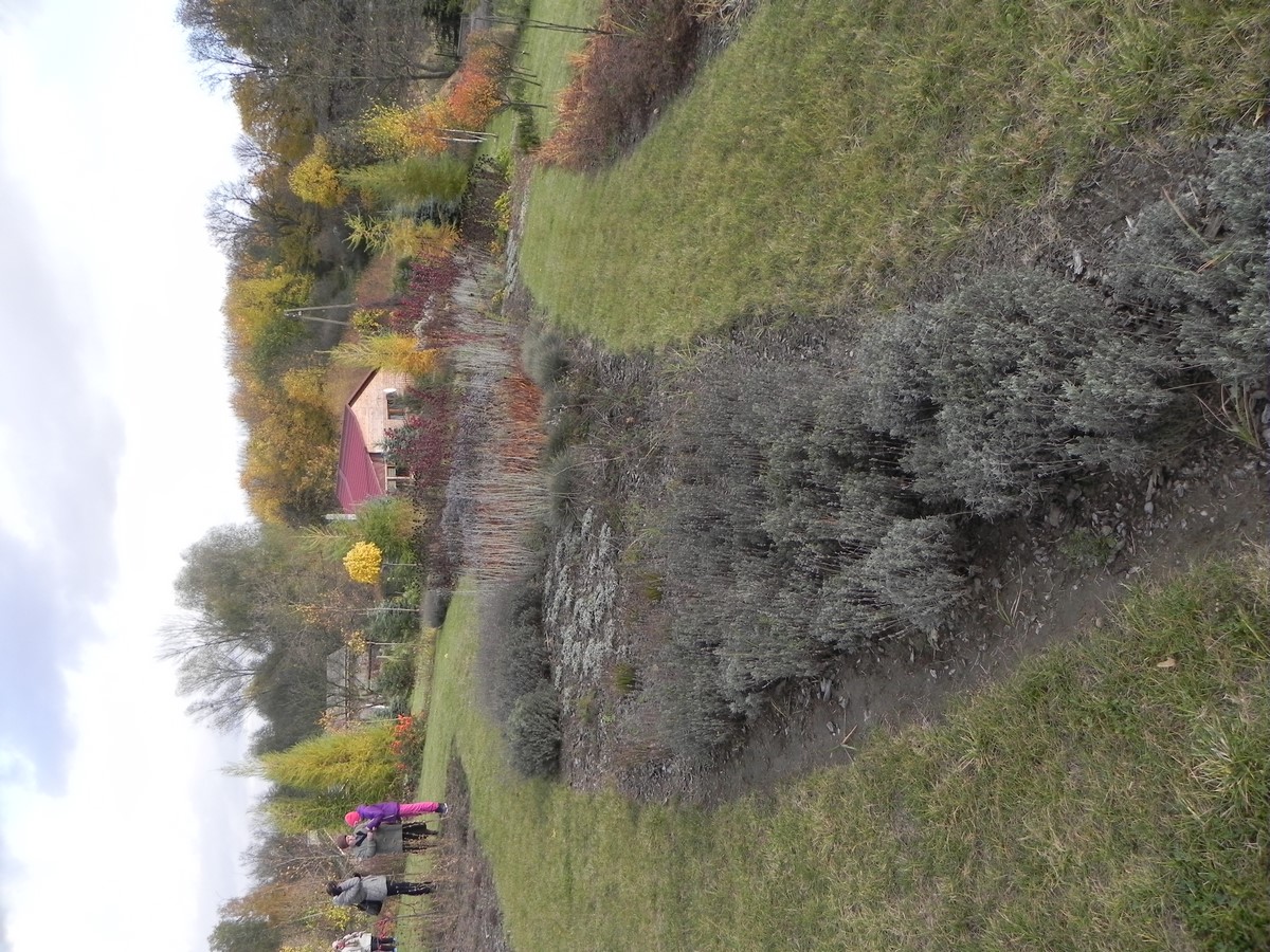 DSCN7132.JPG
